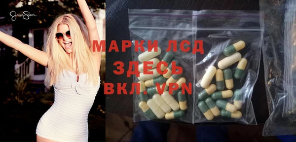 прущие грибы Верхнеуральск
